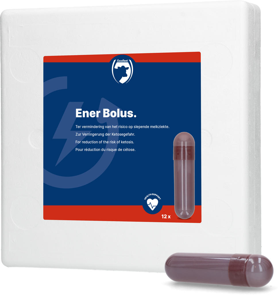 HOLLAND ANIMAL CARE ENER BOLUS - 12 Stück (à 70g)